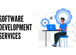 Software Development Services